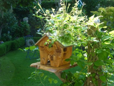 Holiday apartment Garden view - Outdoor photo 13