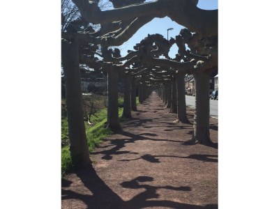 Holiday apartment Garden view - Environment photo 29