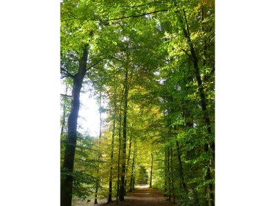 Holiday apartment Garden view - Environment photo 33