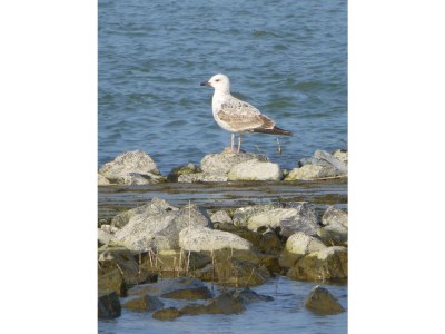 Holiday apartment Garden view - Environment photo 34