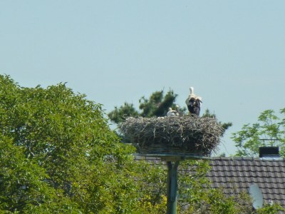 Holiday apartment Garden view - Environment photo 35