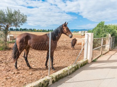 Villa CAN GRAU 32 - Outdoor photo 112