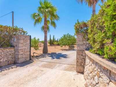 Villa ELS XIPRERS - Outdoor photo 16