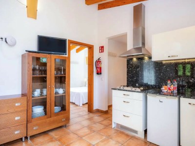 Apartment S'HORT DE SA BAGURA - SA FORMATGERA - Features photo 15