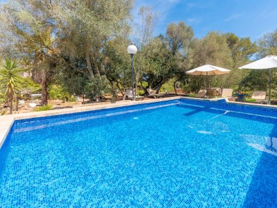 Villa SA TORRETA in Campos - Villa