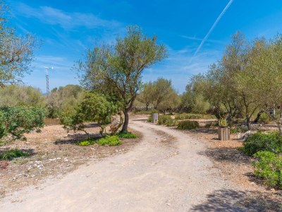 Villa SA TORRETA - Outdoor photo 16