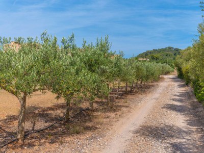 Chalet SON FLORIANA - Outdoor photo 20