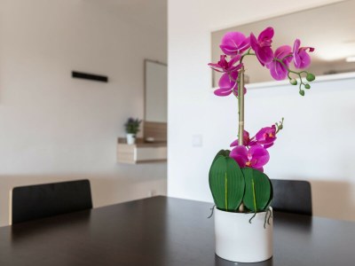 Apartment AGUAMARINA GAMONAL - Features photo 12