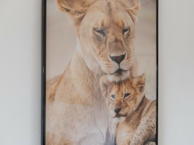 Apartment AGUAMARINA GAMONAL - Features photo 22