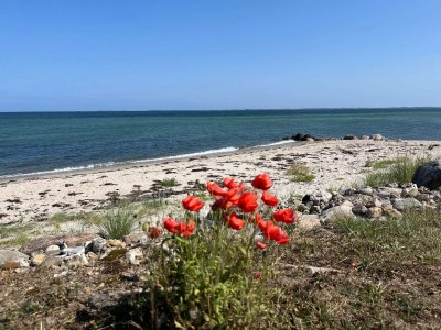 Holiday house Luxus-Ruckzugsort am Hasmark -- By Traum Ferienwohnungen - Outdoor photo 10