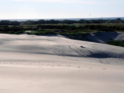 Holiday house Luxury Retreat in Skagen - By Traum Ferienwohnungen - Outdoor photo 22