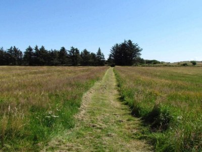 Holiday house Luxury Retreat in Skagen - By Traum Ferienwohnungen - Outdoor photo 23