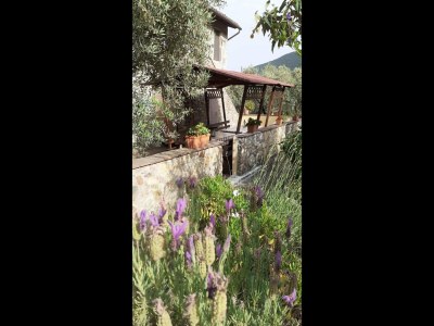 Holiday house Geräumiges Ferienhaus in Buti - Outdoor photo 7