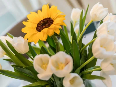 Apartment Gondolieri - Features photo 29