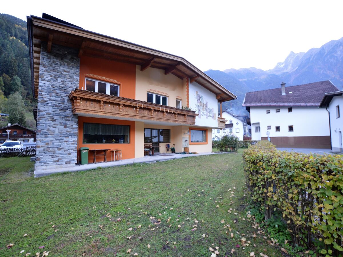 Apartment Wohnung in Oetz nahe Skilift