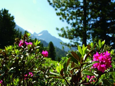 Apartment Wohnung in Oetz nahe Skilift - Environment photo 22