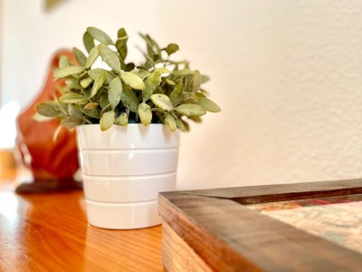 Apartment Apartment in Malaga with Sea Views & Pool - Features photo 21