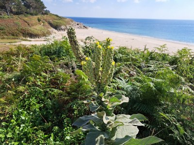 Holiday house Villa in Brittany with Panoramic Sea Views - Environment photo 38