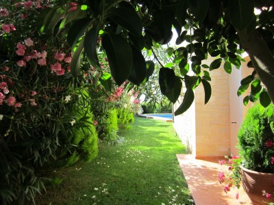 Villa Villa in Prines with Cretan Sea Views - Outdoor photo 13