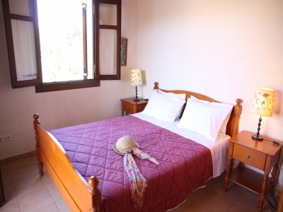 Villa Villa in Prines with Cretan Sea Views - Features photo 20