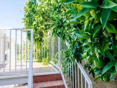 Apartment Apartment and Room Cicko - One Bedroom Apartment with Terrace and Sea View (Attic) - Outdoor photo 2