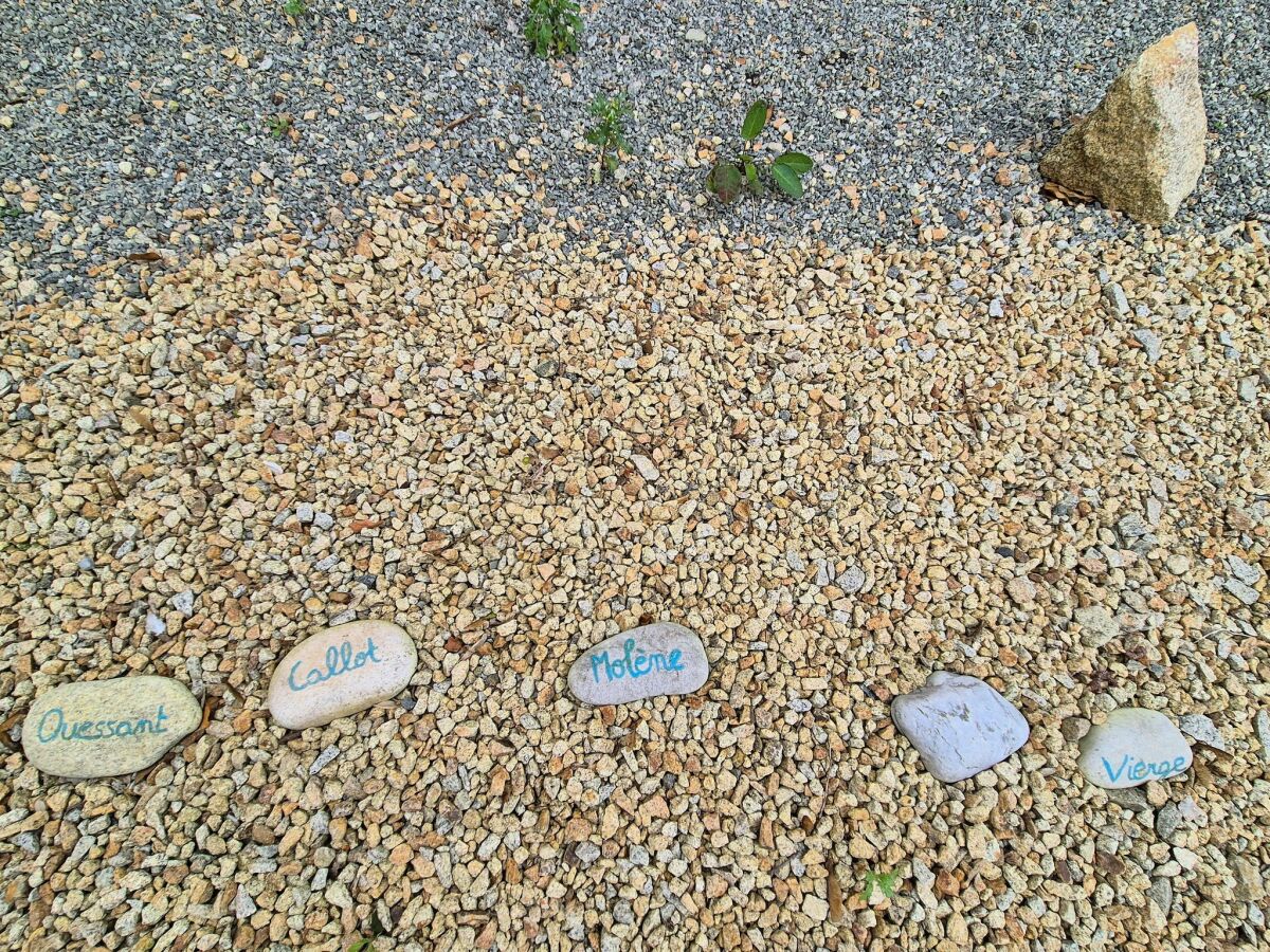 Holiday house Stone House in Brittany near Roscoff & Beaches - Outdoor photo 2