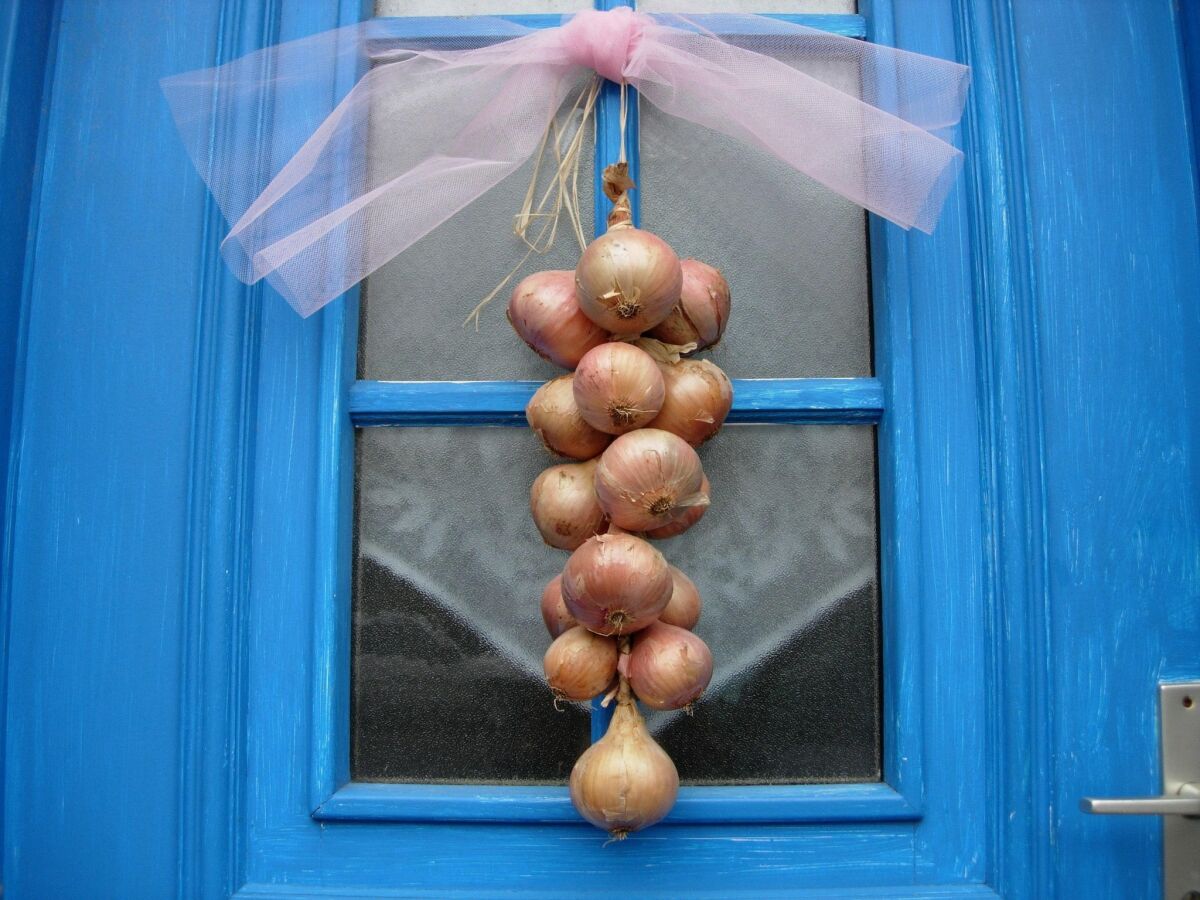 Holiday house Stone House in Brittany near Roscoff & Beaches - Outdoor photo 5