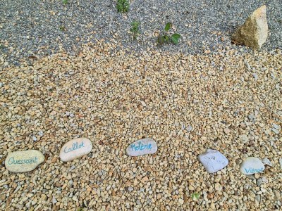 Holiday house Stone House in Brittany near Roscoff & Beaches - Outdoor photo 2