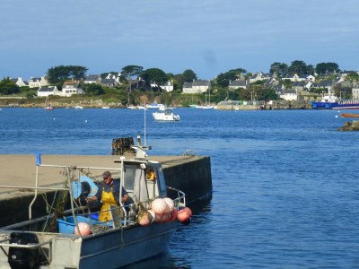 Holiday house Stone House in Brittany near Roscoff & Beaches - Environment photo 29