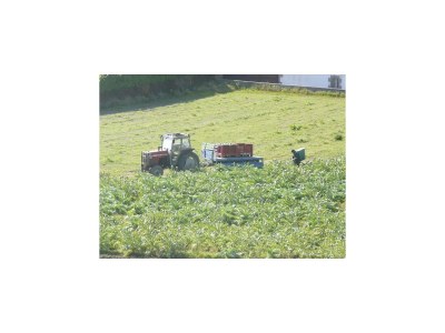 Holiday house Stone House in Brittany near Roscoff & Beaches - Environment photo 31
