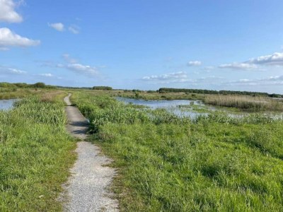 Holiday house Bungalow in Sondel am Slotermeer - Environment photo 29
