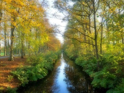 Holiday house Bungalow in Sondel am Slotermeer - Environment photo 31