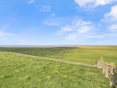 Holiday house Bungalow in Sondel am Slotermeer - Environment photo 33