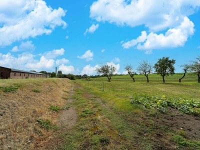 Apartment Gemütlicher Familienaufenthalt in Petersberg - Environment photo 38