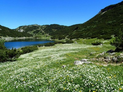 Apartment Apartment/2 Schlafräume/Dusche, WC - Outdoor photo 14