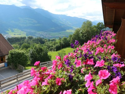Apartment Ferienwohnung SONNENBLUME - Outdoor photo 36