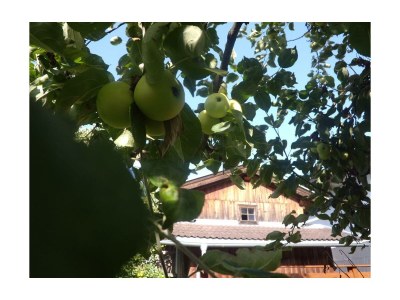 Apartment Hochzillertal - Outdoor photo 25