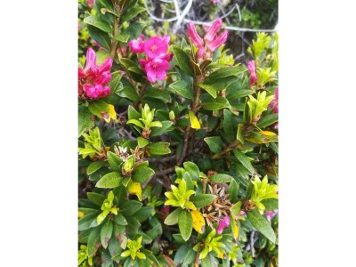 Apartment Appartement Bergblick - Outdoor photo 23