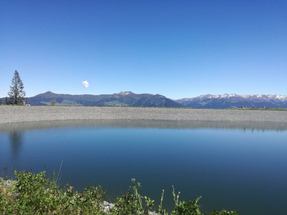 Apartment Bauernhof - Outdoor photo 5