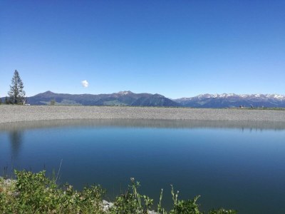 Apartment Bauernhof - Outdoor photo 5