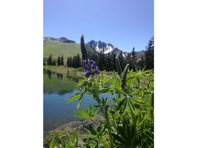 Apartment Bauernhof - Outdoor photo 6