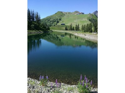 Apartment Bauernhof - Outdoor photo 7