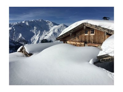 Apartment Bauernhof - Outdoor photo 16