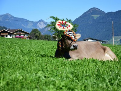 Apartment Bauernhof - Features photo 38
