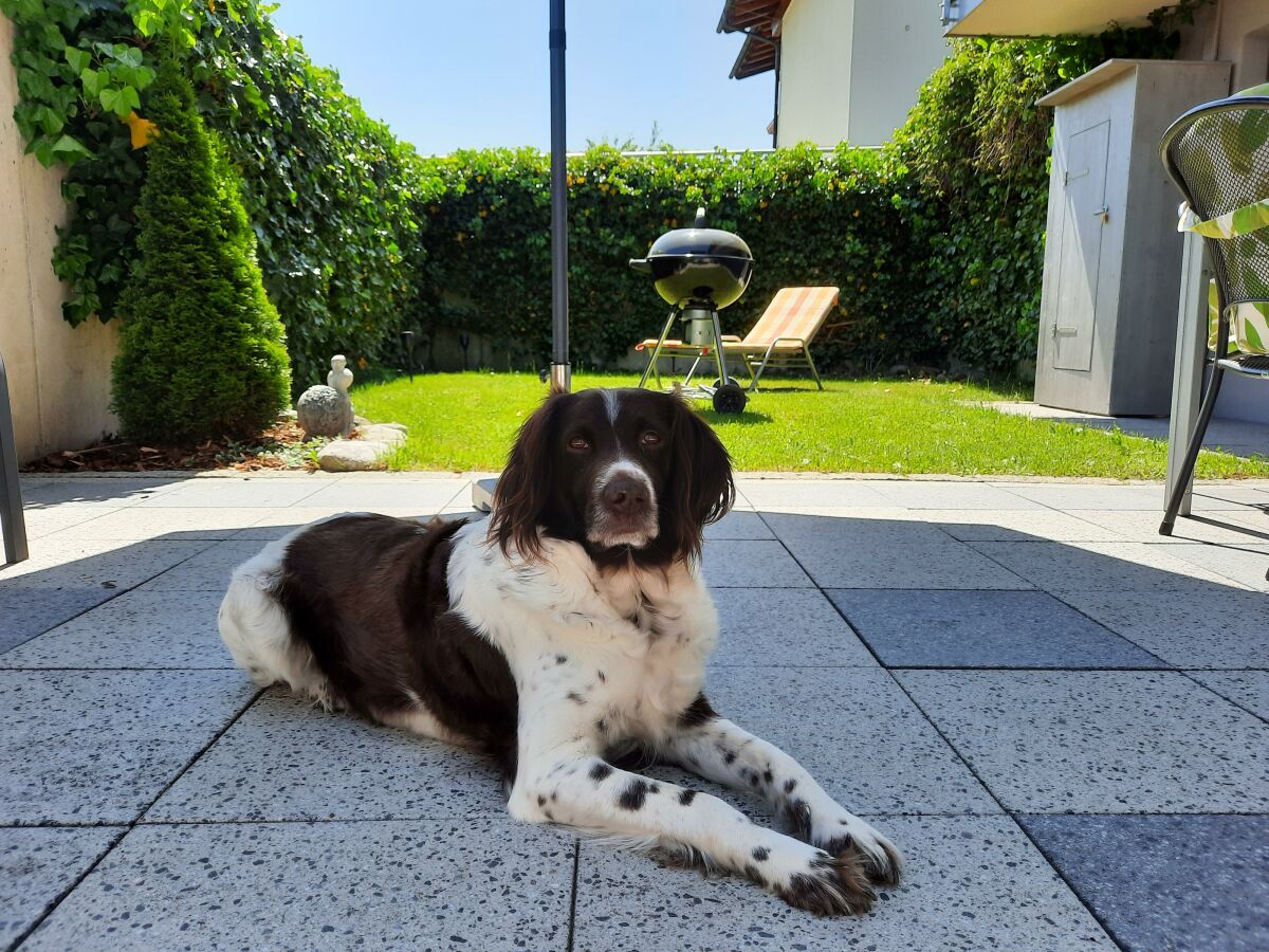 Apartment Apartment Kogler - Outdoor photo 4