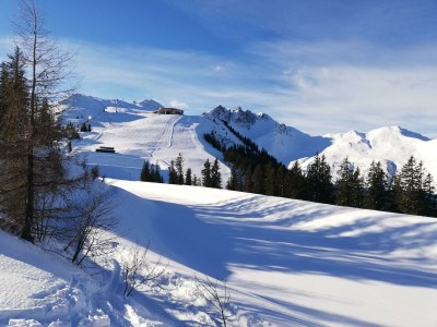 Apartment Apartment Kogler - Outdoor photo 22