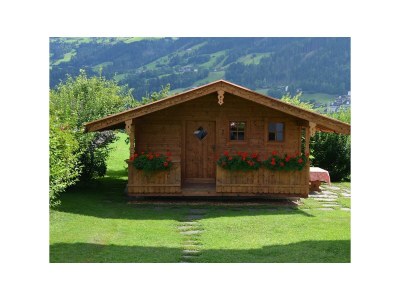 Apartment Appartement Hochfügen - Outdoor photo 3