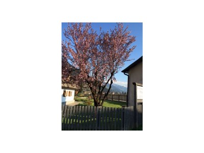 Apartment Appartement Hochfügen - Outdoor photo 57