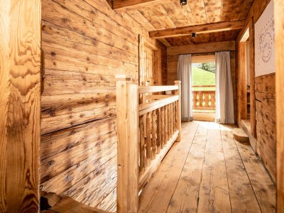 Apartment Ferienhaus Brandleit in Hart im Zillertal - Apartment