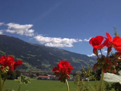 Apartment Ferienwohnung Steinbock - Features photo 26